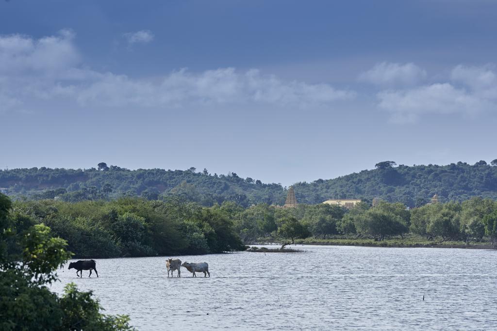 Amaranthe Bay Resort & Spa Trincomalee Ngoại thất bức ảnh